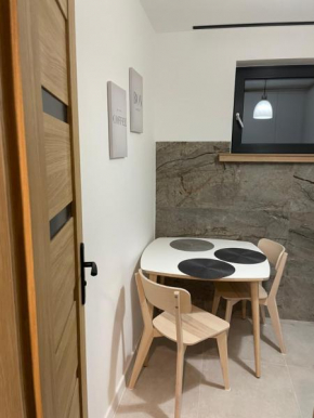 APARTAMENT PRZY BLONIACH 2, Szczecin